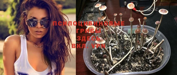 apvp Володарск