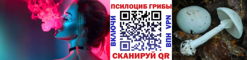 Галлюциногенные грибы мухоморы  Купить  Мостовской 